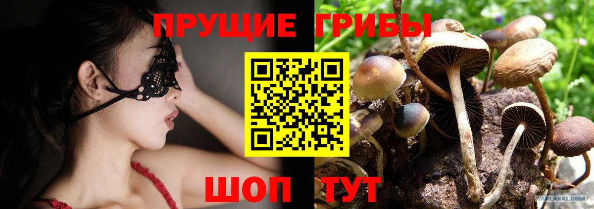 Псилоцибиновые грибы MAGIC MUSHROOMS Ирбит